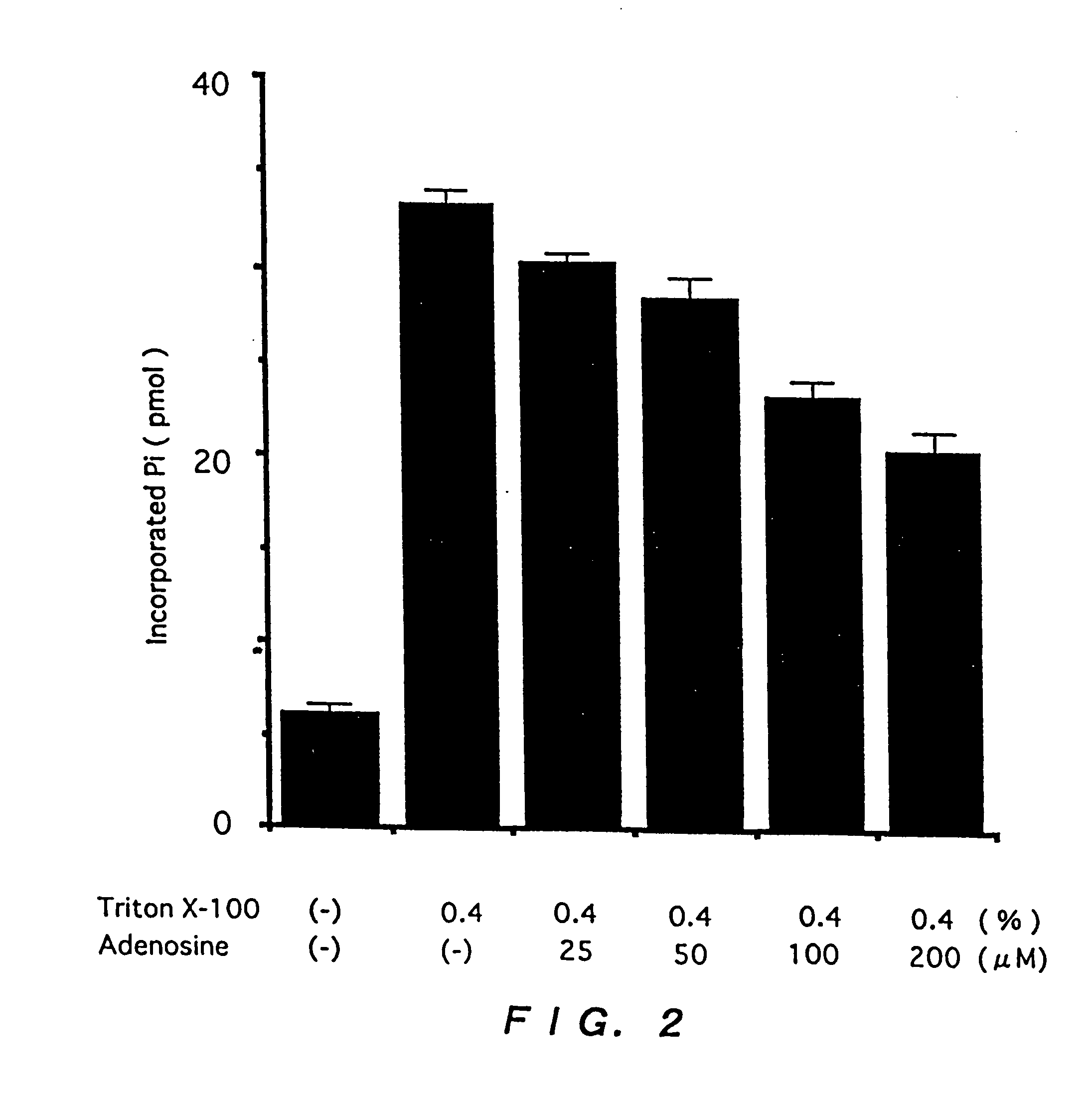 Human gene