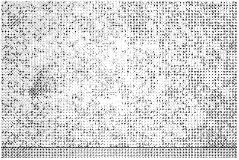 Colorful powdered ink used for static development and preparation method thereof