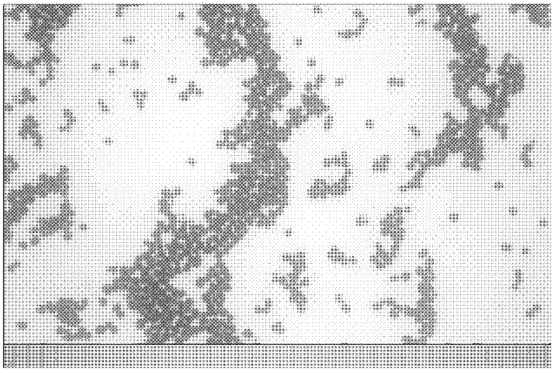 Colorful powdered ink used for static development and preparation method thereof