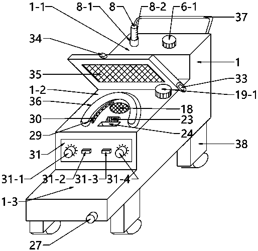 Vulva fumigation treatment device