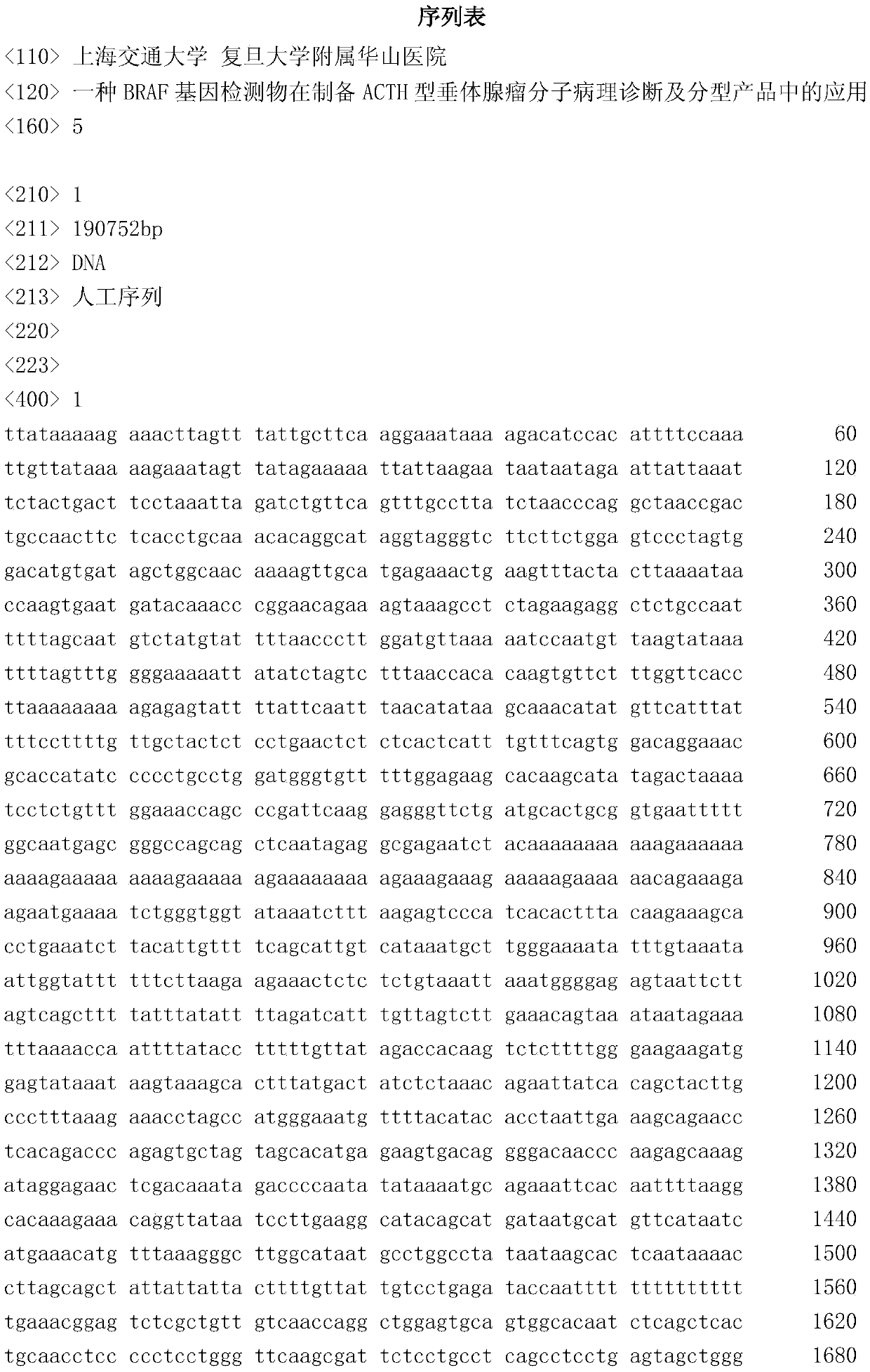 Application of BRAF gene detector to preparation of ACTH type pituitary adenoma molecular pathological diagnosis and parting product