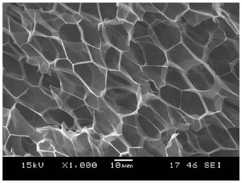 Low-density polypropylene bead foam as well as preparation method and application thereof