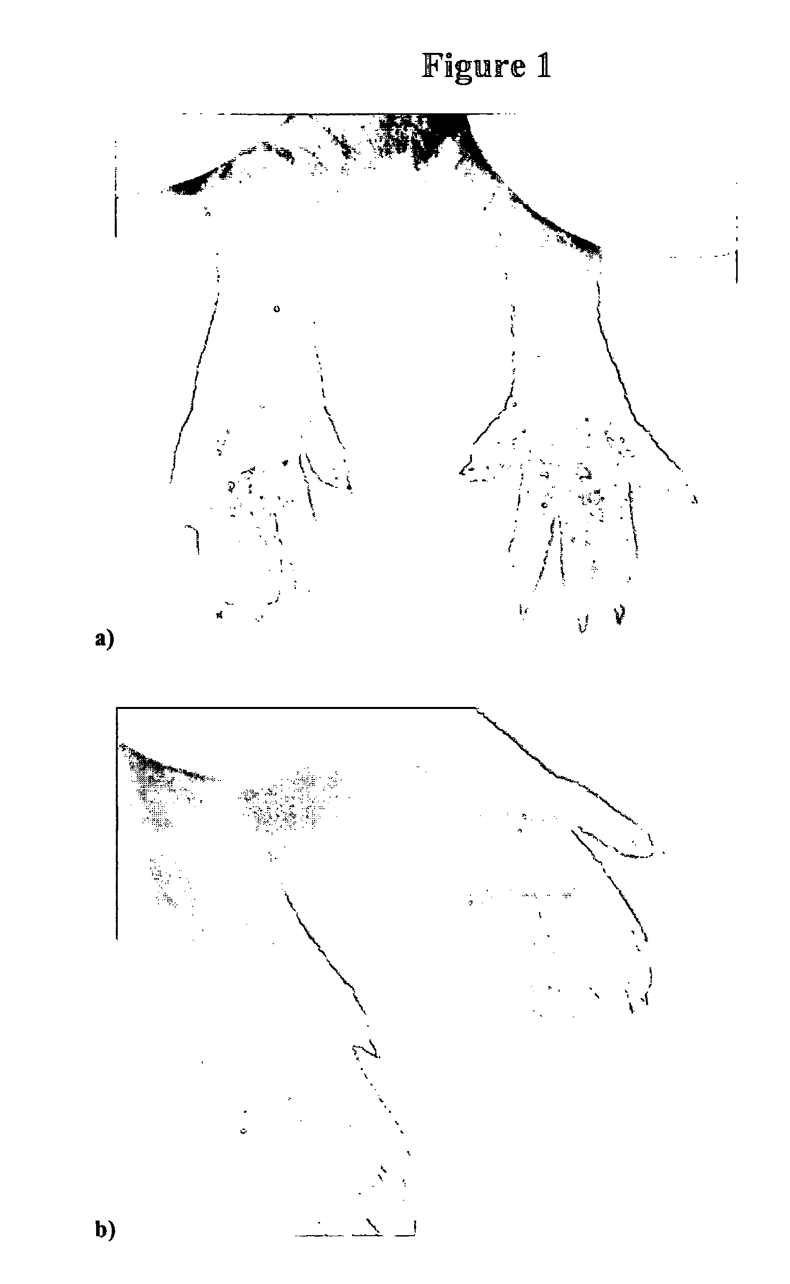 Compositions and methods for topical application and transdermal delivery of an oligopeptide