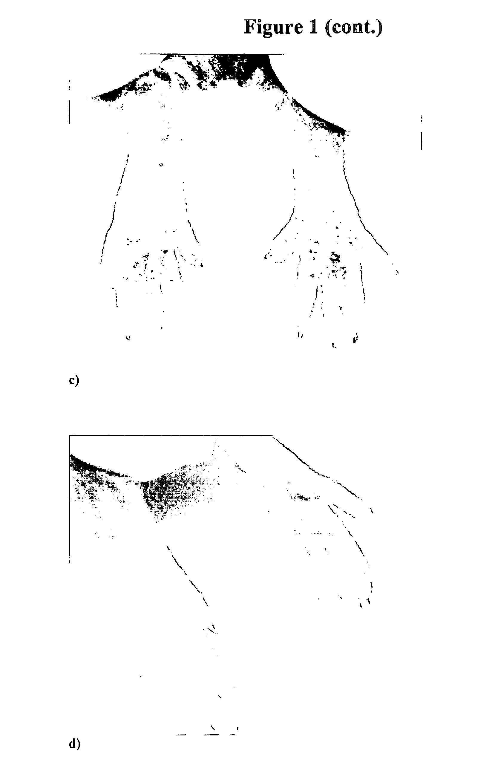 Compositions and methods for topical application and transdermal delivery of an oligopeptide