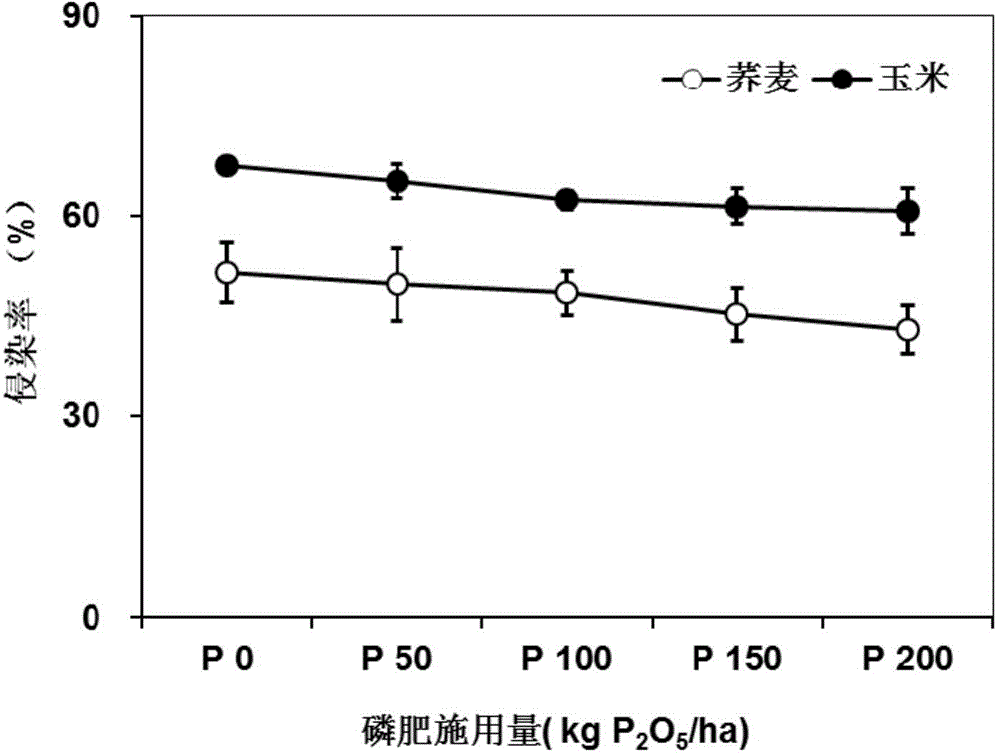 Method for lowering cadmium content in soybeans by arbuscular mycorrhizal fungi