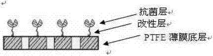 Waterproof permeable material having antibacterial function, and its preparation method