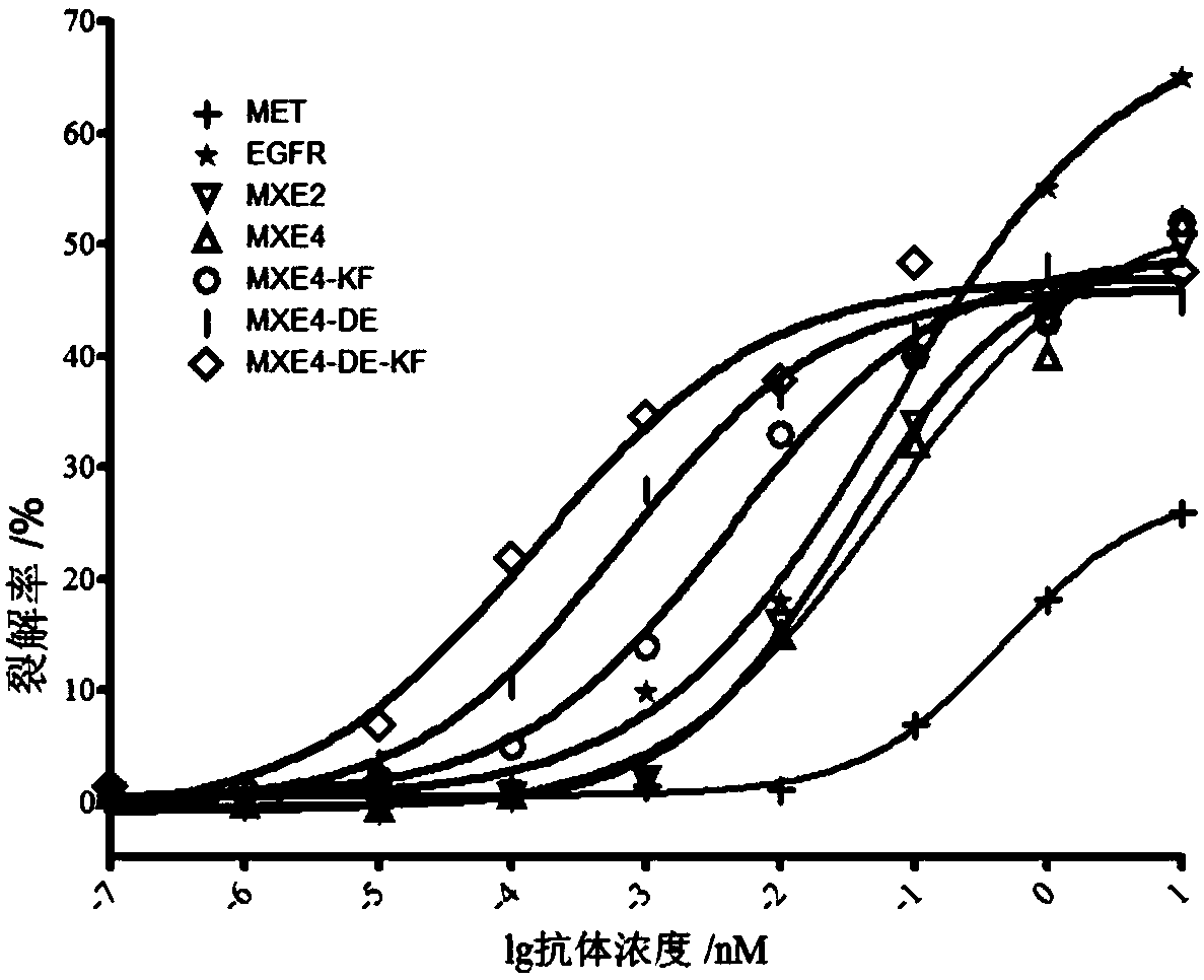 Bispecific antibody against EGFR protein and MET protein