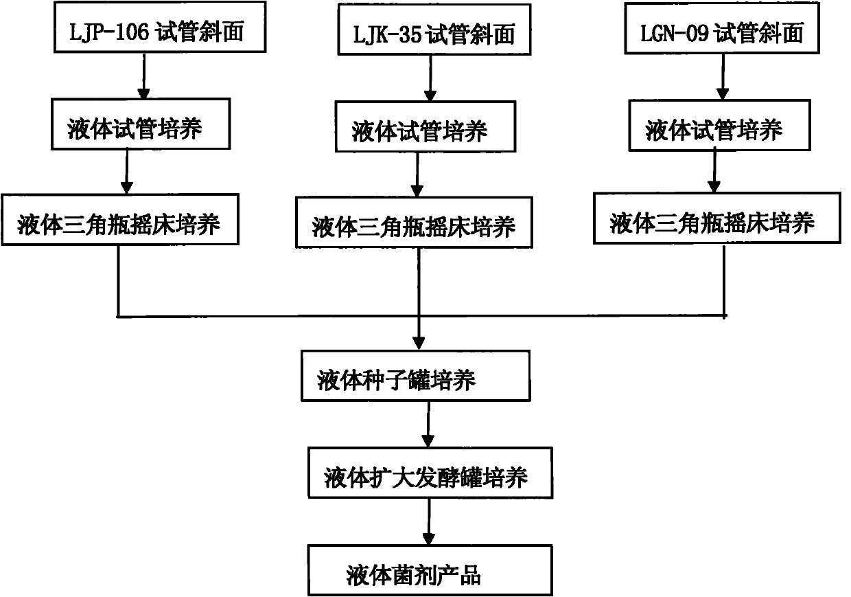 Preparation method of liquid inoculant of aboriginal probiotic bacillus megaterium, bacillus mucilaginosus and azotobacter chroococcum