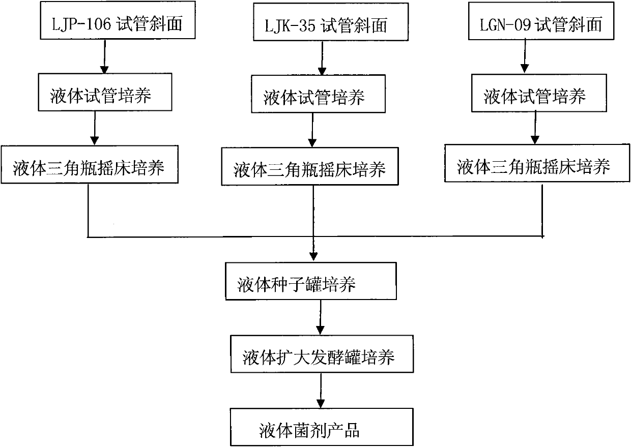 Preparation method of liquid inoculant of aboriginal probiotic bacillus megaterium, bacillus mucilaginosus and azotobacter chroococcum