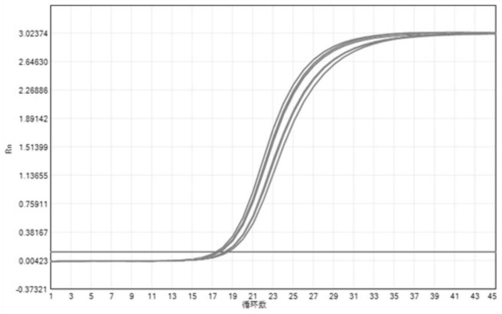 Magnetic bead mixture, nucleic acid preservation method, nucleic acid extraction reagent and kit