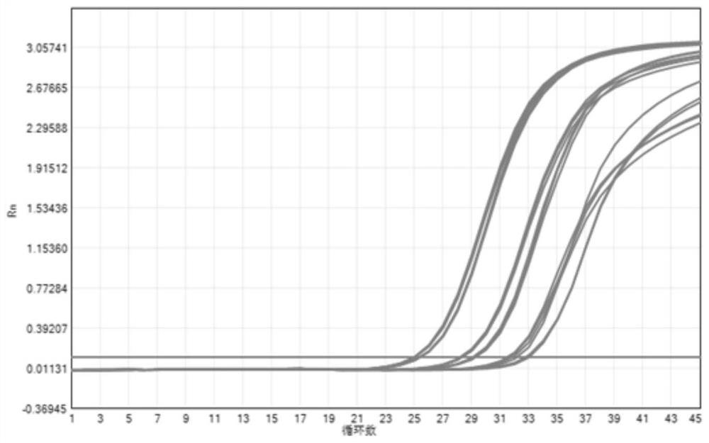 Magnetic bead mixture, nucleic acid preservation method, nucleic acid extraction reagent and kit