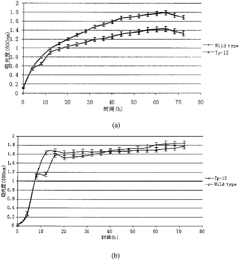 Yarrowia lipolytica genetic engineering strain with high production of gamma-decalactone, as well as preparation method and application thereof