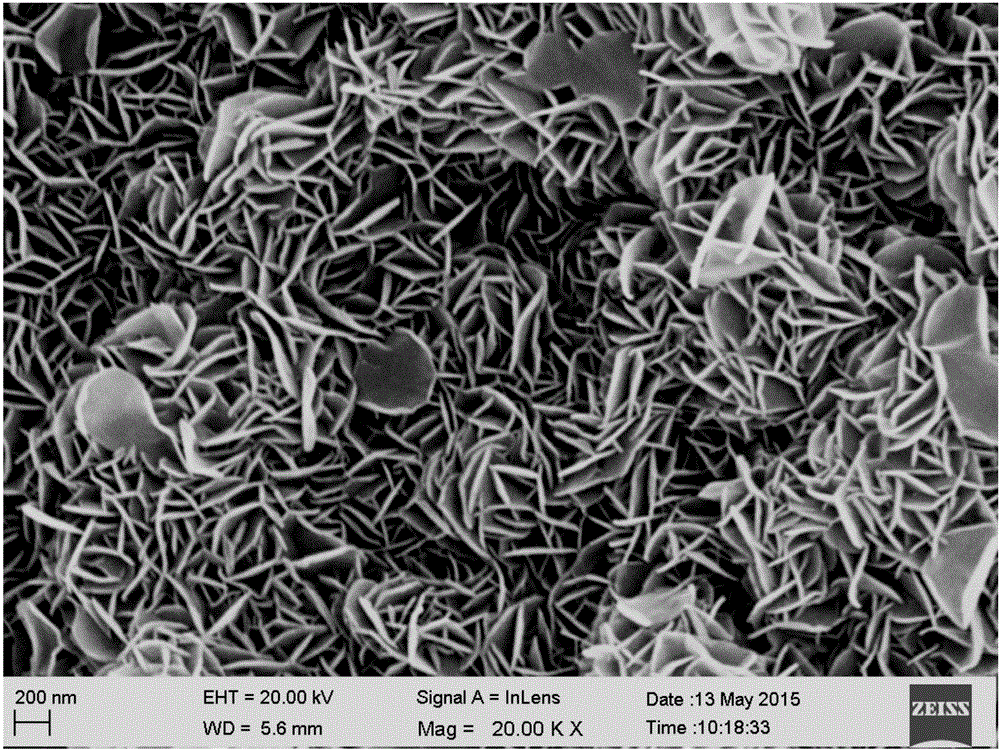 Method for fixing layered double hydroxide on surface of polypropylene and application of method