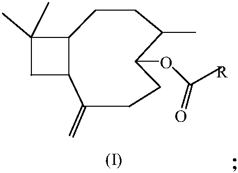 Furoic acid beta-caryophyllene-5-ester compound as well as preparation method and application of furoic acid beta-caryophyllene-5-ester compound