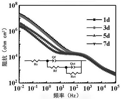 Preparation method of normal-temperature curing wear-resistant anticorrosive super-hydrophobic coating