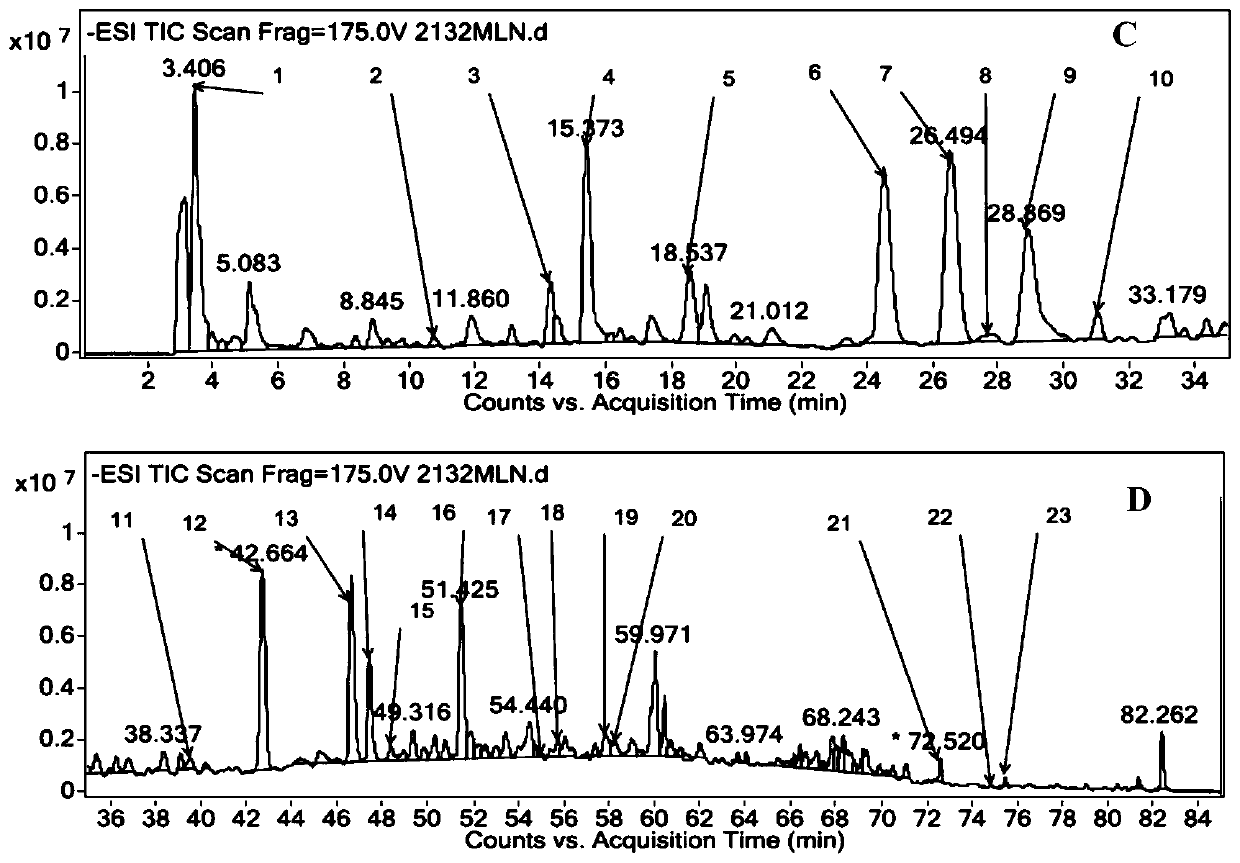 Analysis method for researching fingerprint spectrum of Mailuoning injection based on UPLC-DAD-MS