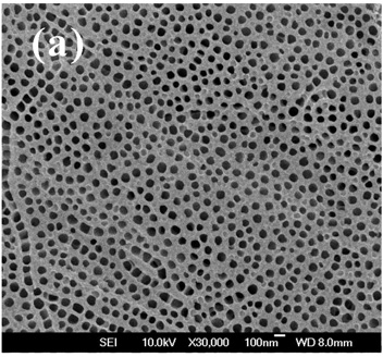 Method for preparing independent and ordered titanium oxide nano tube array film