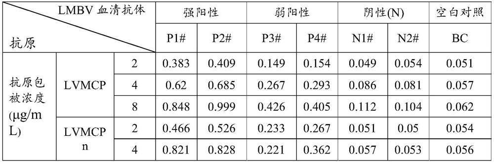 ELISA kit for detecting largemouth bass ranavirus antibody and detection method thereof