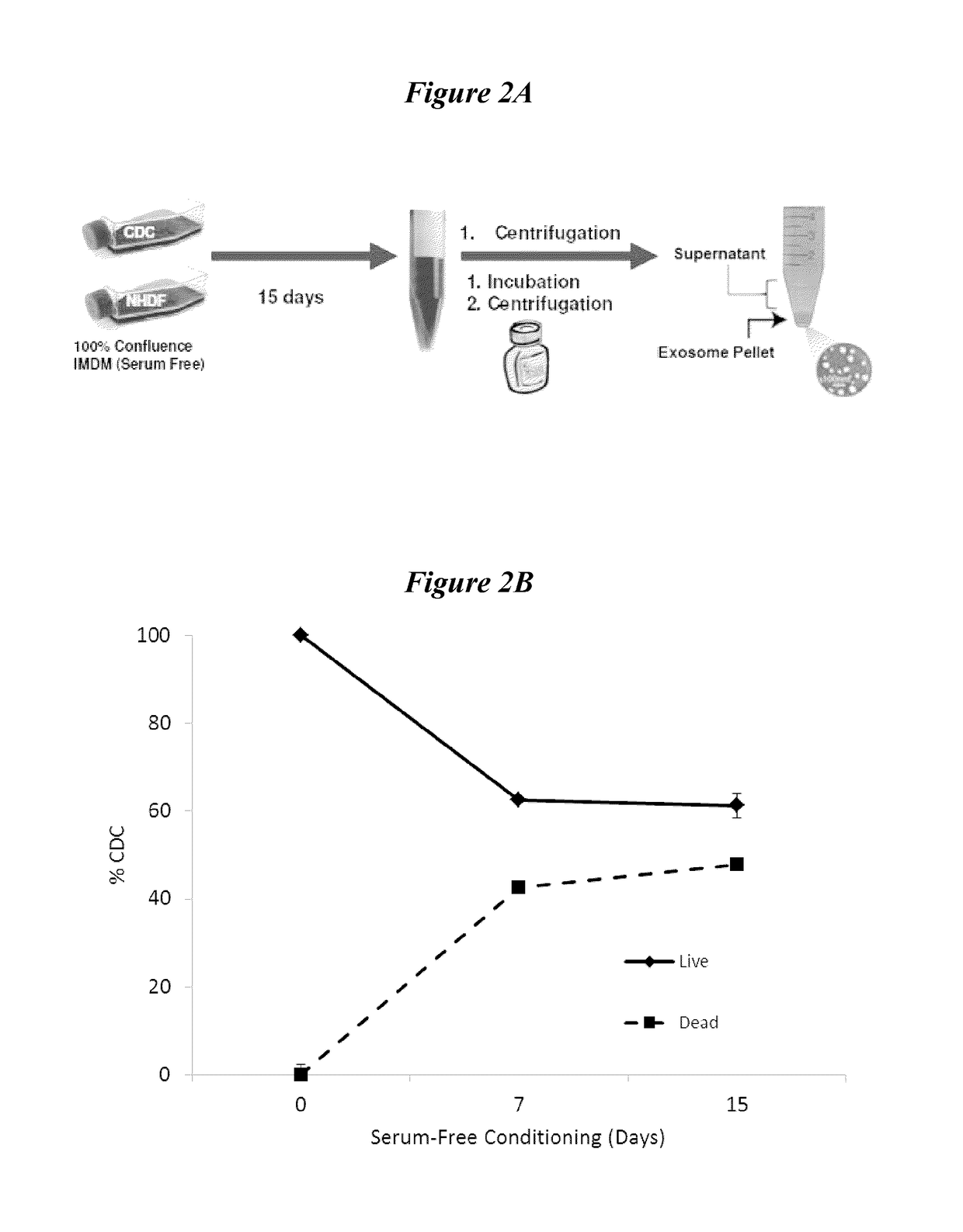 Exosomes and micro-ribonucleic acids for tissue regeneration