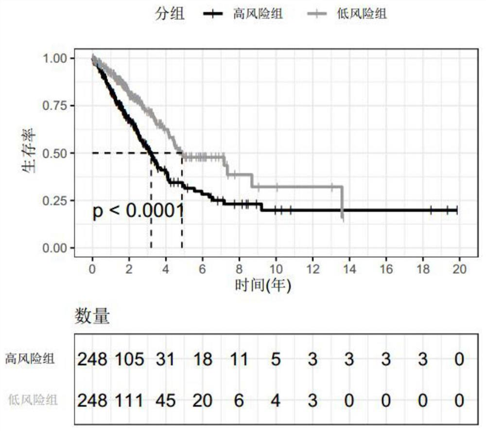 Biomarker for predicting survival time of patient with lung cancer and related product