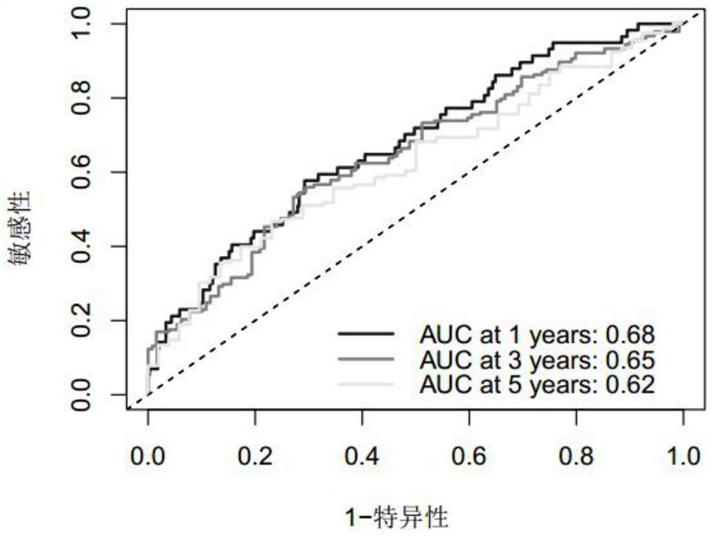 Biomarker for predicting survival time of patient with lung cancer and related product