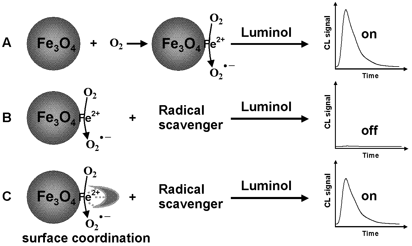 Chemical luminescence enhanced type method for detecting pesticide residues