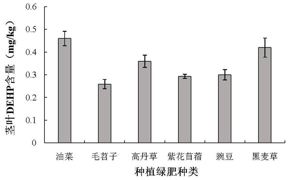 Method for repairing phthalate-polluted farmland soil by applying green manure plants