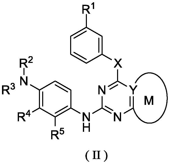 Aza aromatic ring amide derivatives for use in treatment of cancer