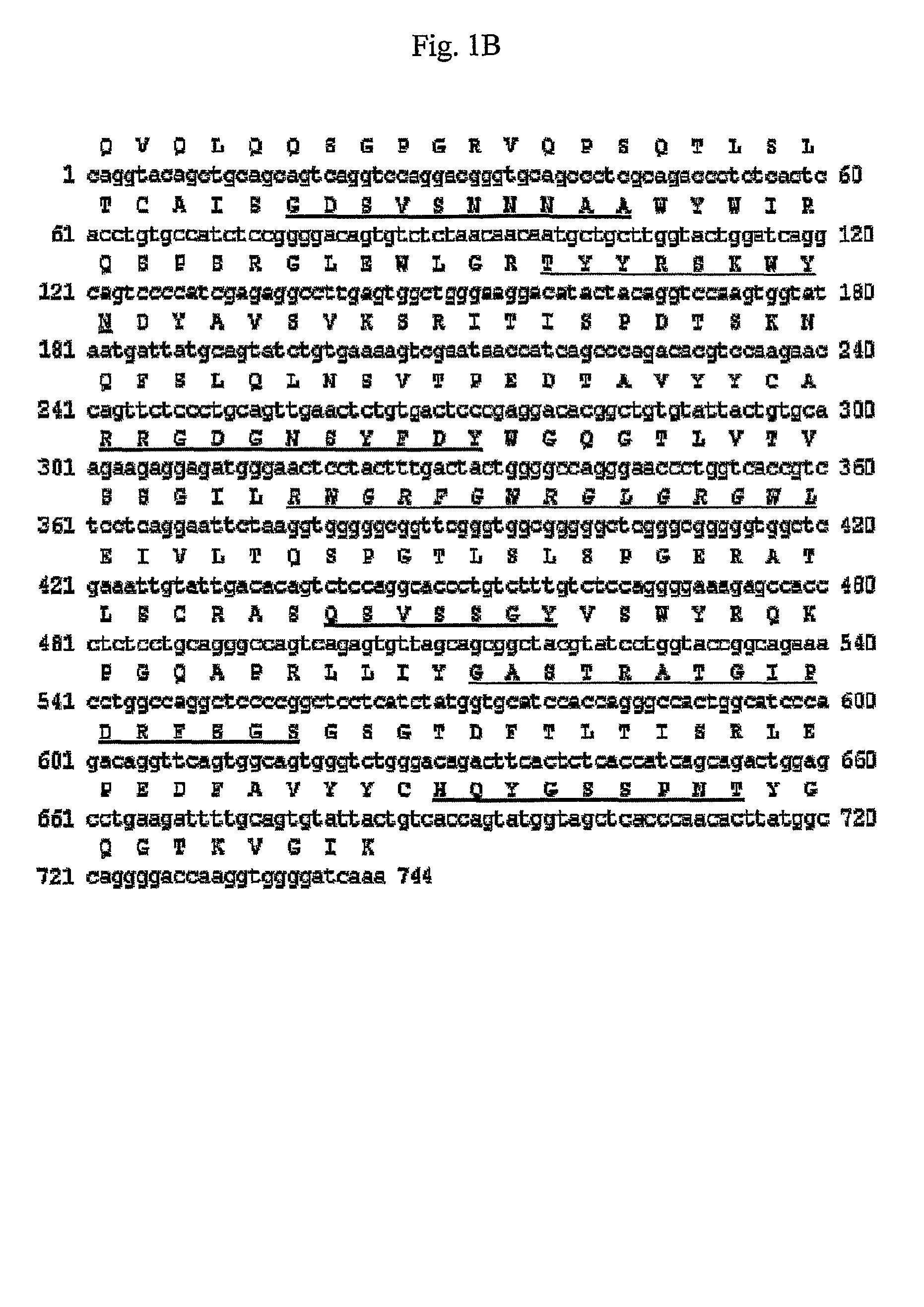 Antibody specifically binding to DR5 and composition for preventing or treating cancers comprising the same