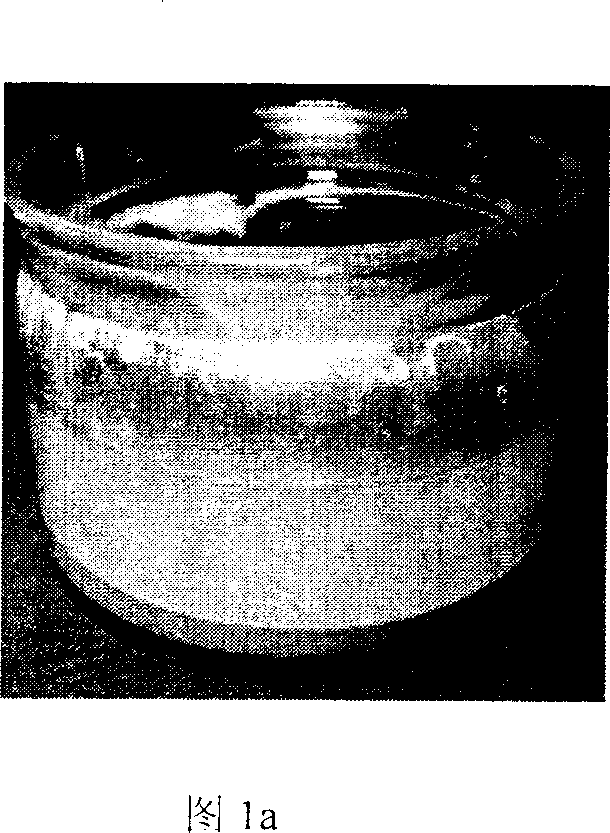 Nano SiO2-organosilicon coating and preparation method thereof