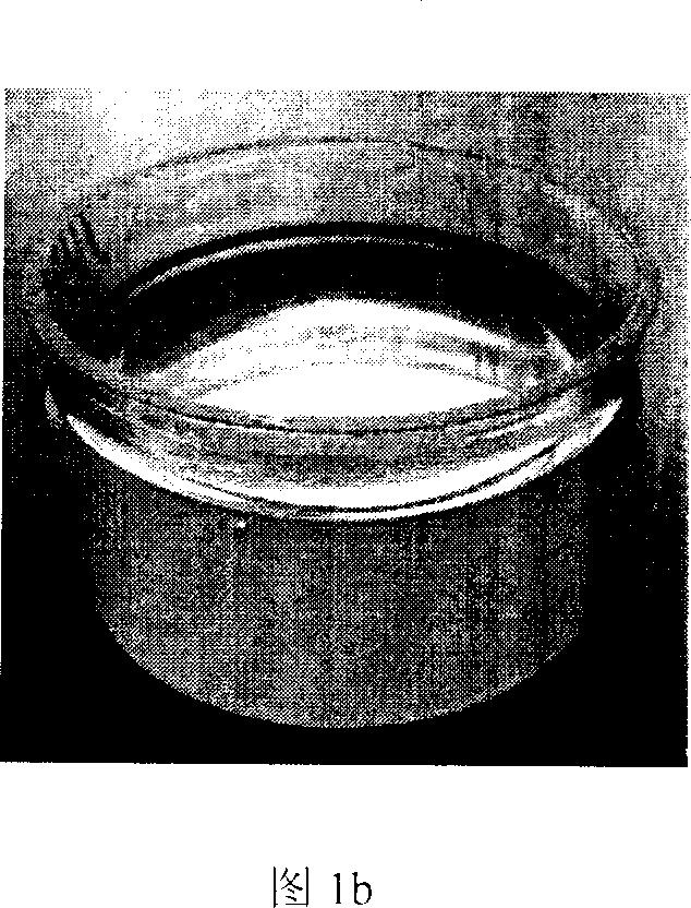 Nano SiO2-organosilicon coating and preparation method thereof