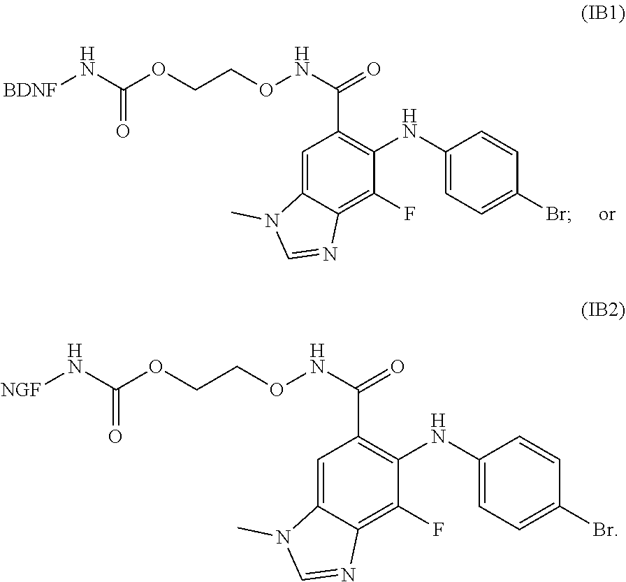 Conjugates for delivering an Anti-cancer agent to nerve cells, methods of use and methods of making thereof