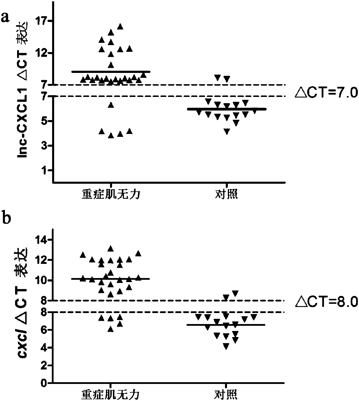 A myasthenia gravis detection kit and application using a combination of non-coding lnc-cxcl1 and coding gene cxcl1 as a detection or diagnostic screening marker