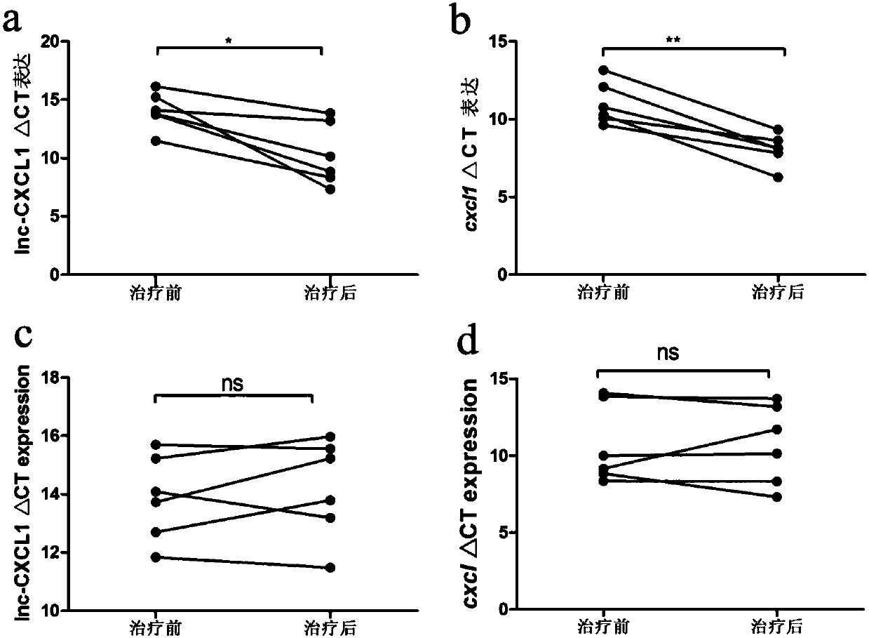 A myasthenia gravis detection kit and application using a combination of non-coding lnc-cxcl1 and coding gene cxcl1 as a detection or diagnostic screening marker