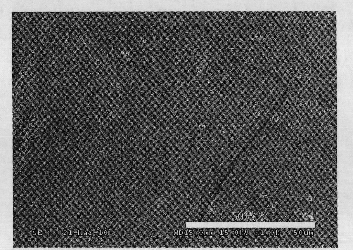 Method for preparing large-area high quality graphene on iron-based substrate