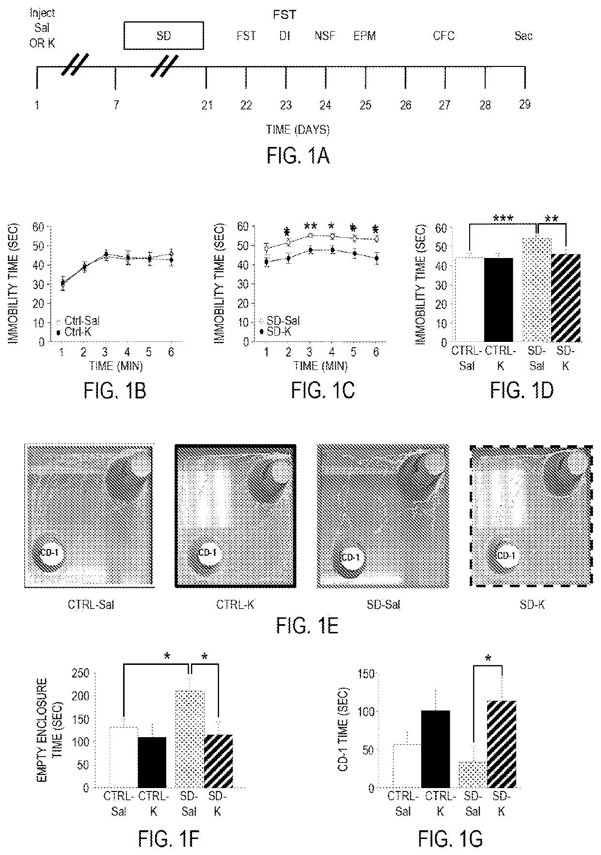 Pharmacological prophylactics against stress-induced affective disorders and their associated symptoms