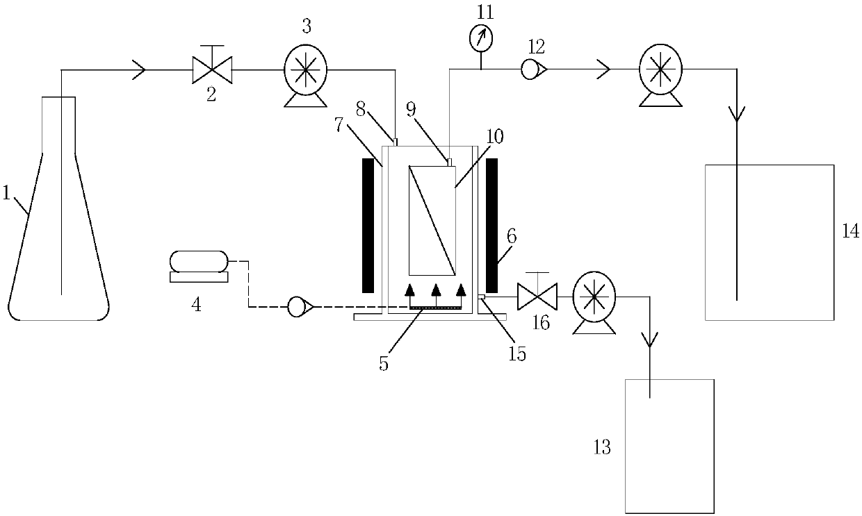 Biofilm magnetic field device and method for treating sewage by photosynthetic organisms