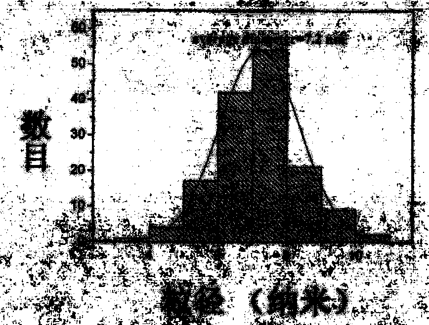 Carbon nano tube/polymer/magnetic ferrate nano composite material and preparation method thereof