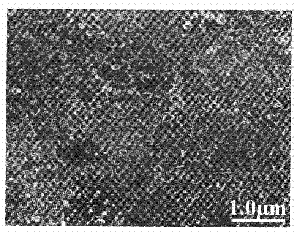 Method for preparing photochemical catalyst applied to degradation of environmental pollutants by using solar energy