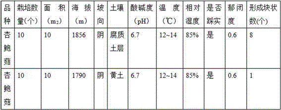 A kind of cultivation method of tuber edible mushroom