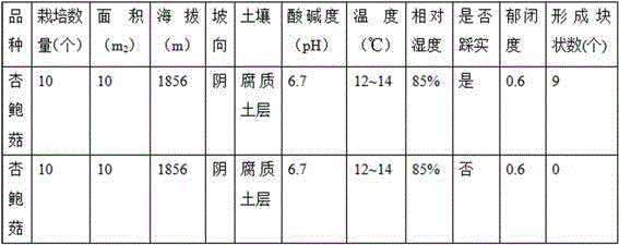 A kind of cultivation method of tuber edible mushroom