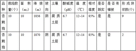 A kind of cultivation method of tuber edible mushroom