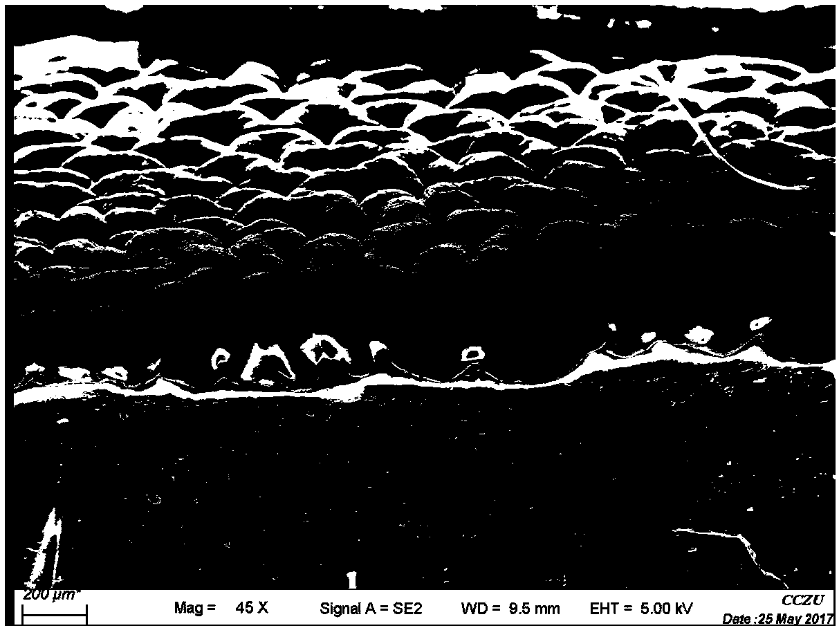 Preparation method and application of flexible stretchable sensing array based on bidirectional pre-stretching elastic substrate and aligned carbon nanotubes