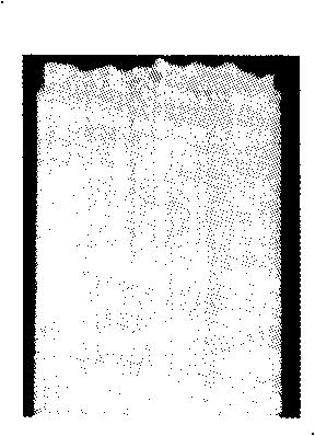 Method for finishing fastness silver salt antimicrobial fabric