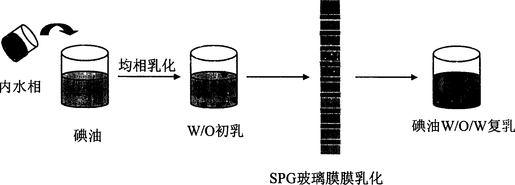 Stable stored composite emulsion carrier in even dimension for hydrophilicity medication and preparation method