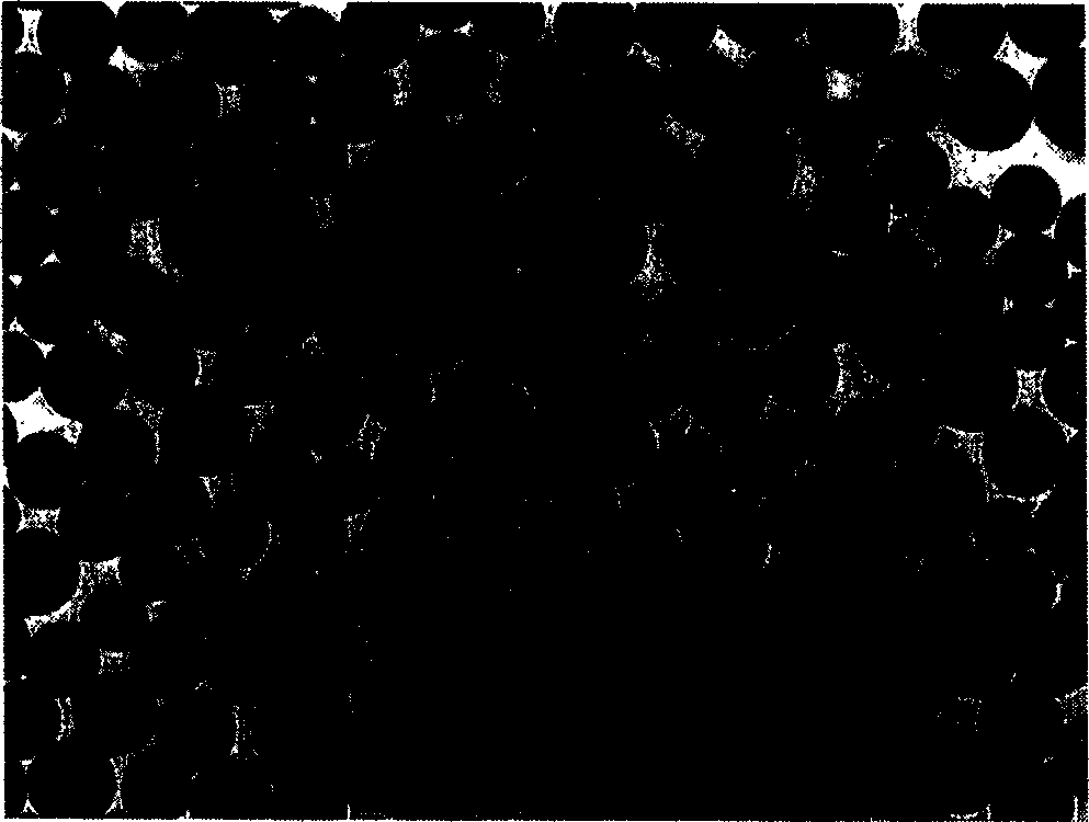 Stable stored composite emulsion carrier in even dimension for hydrophilicity medication and preparation method