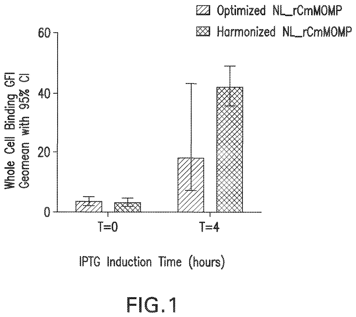 Recombinant expression of chlamydia momp antigen