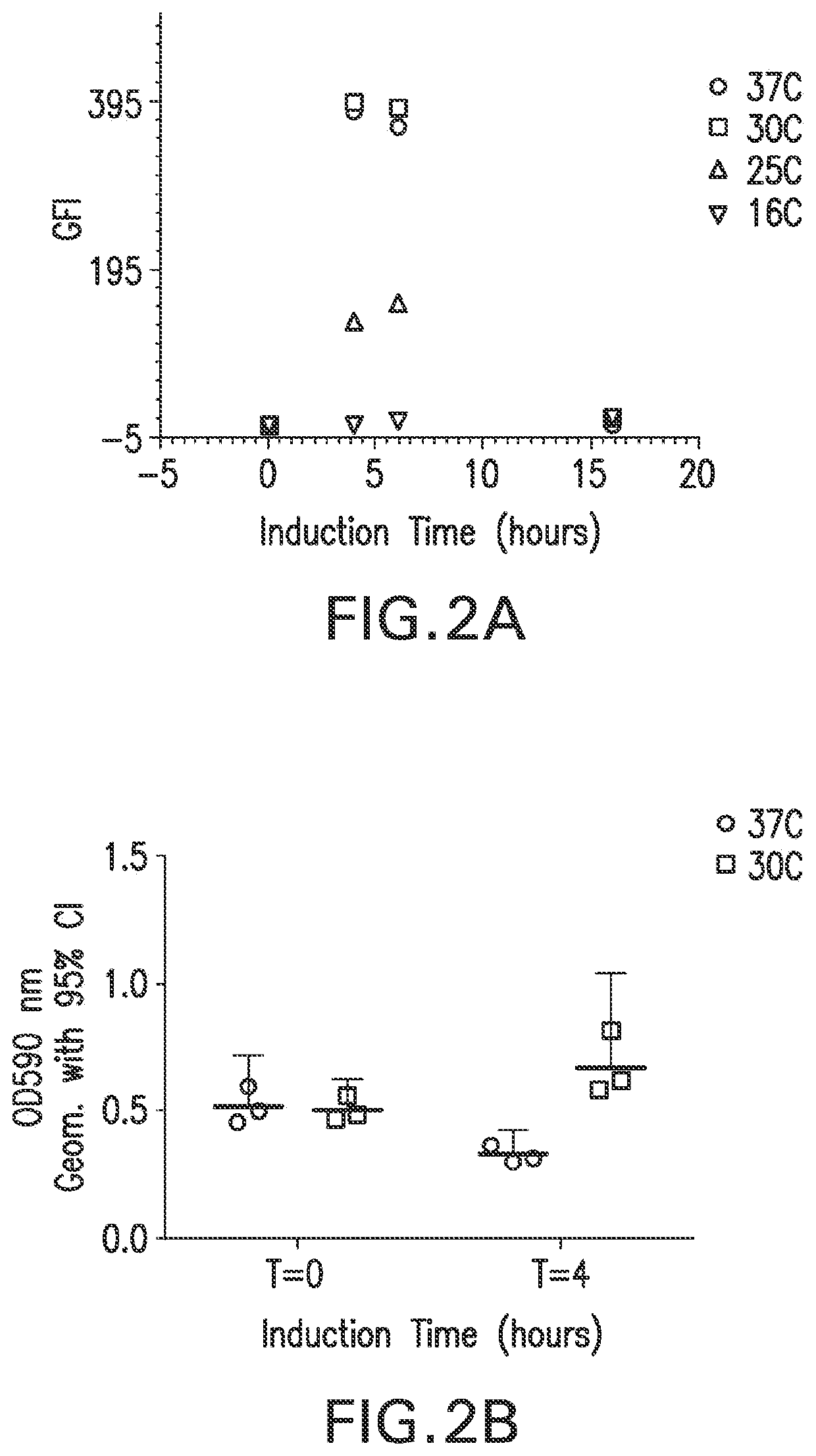 Recombinant expression of chlamydia momp antigen