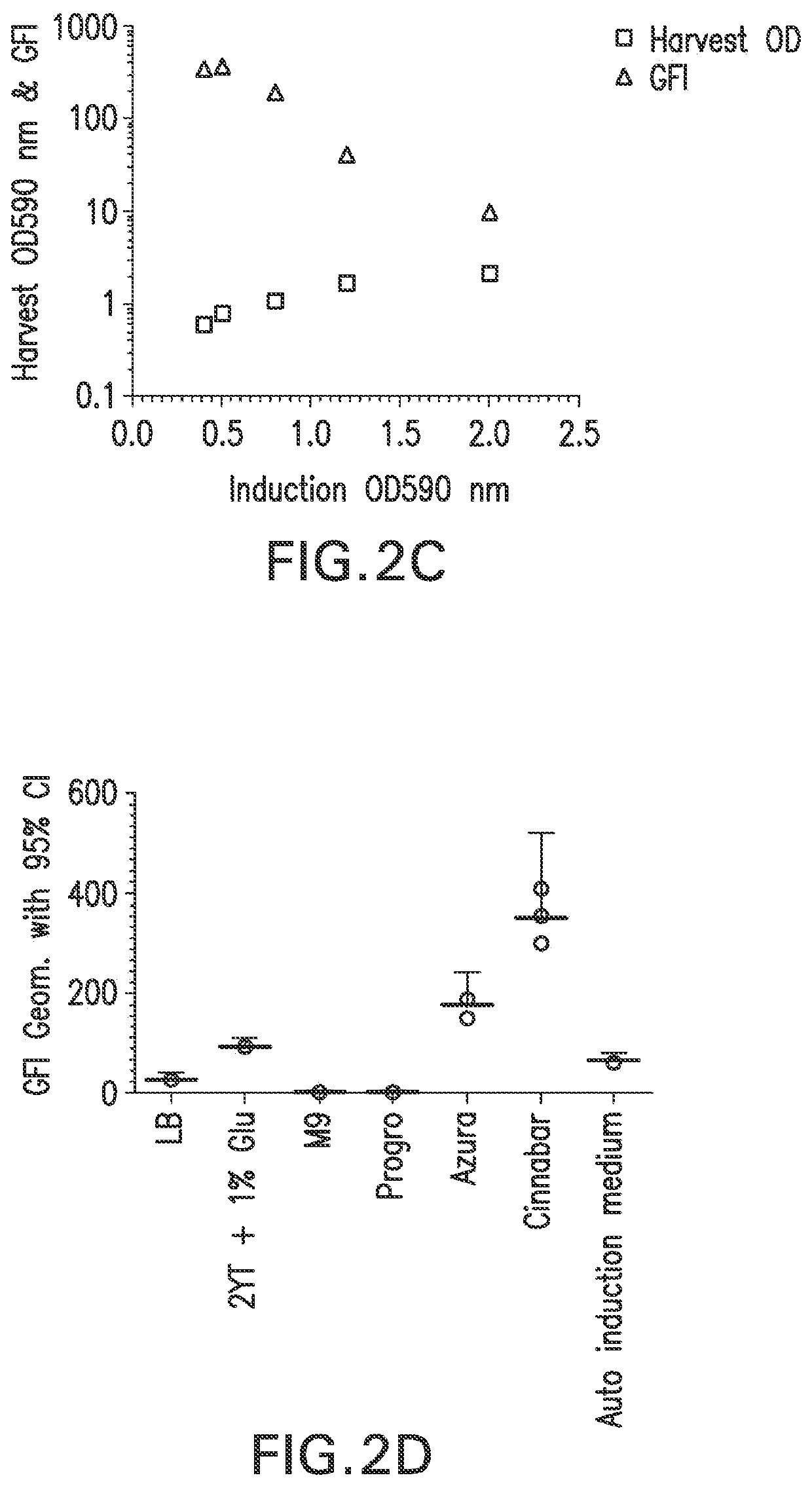 Recombinant expression of chlamydia momp antigen