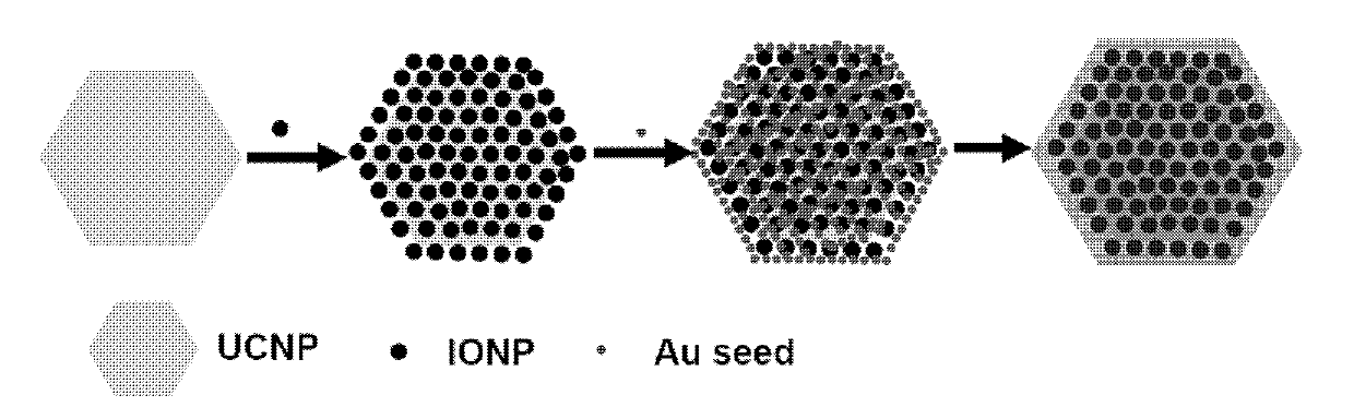 Thiol-polyethylene glycol modified magneto-optical composite nano-material and its application